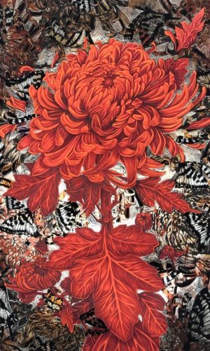 <h5>Fairchild, Sarah</h5> Chrysanthemum