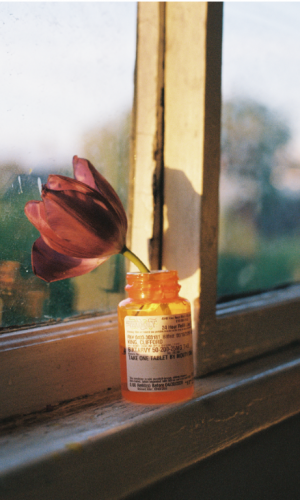 <h5>King, Clifford Prince</h5> Untitled: Pill Bottle, Flower