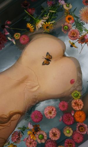 <h5>Sweeney, Kate</h5>The Butterfly
